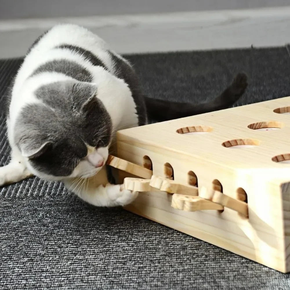 Whack-a-Mole Cat Toy