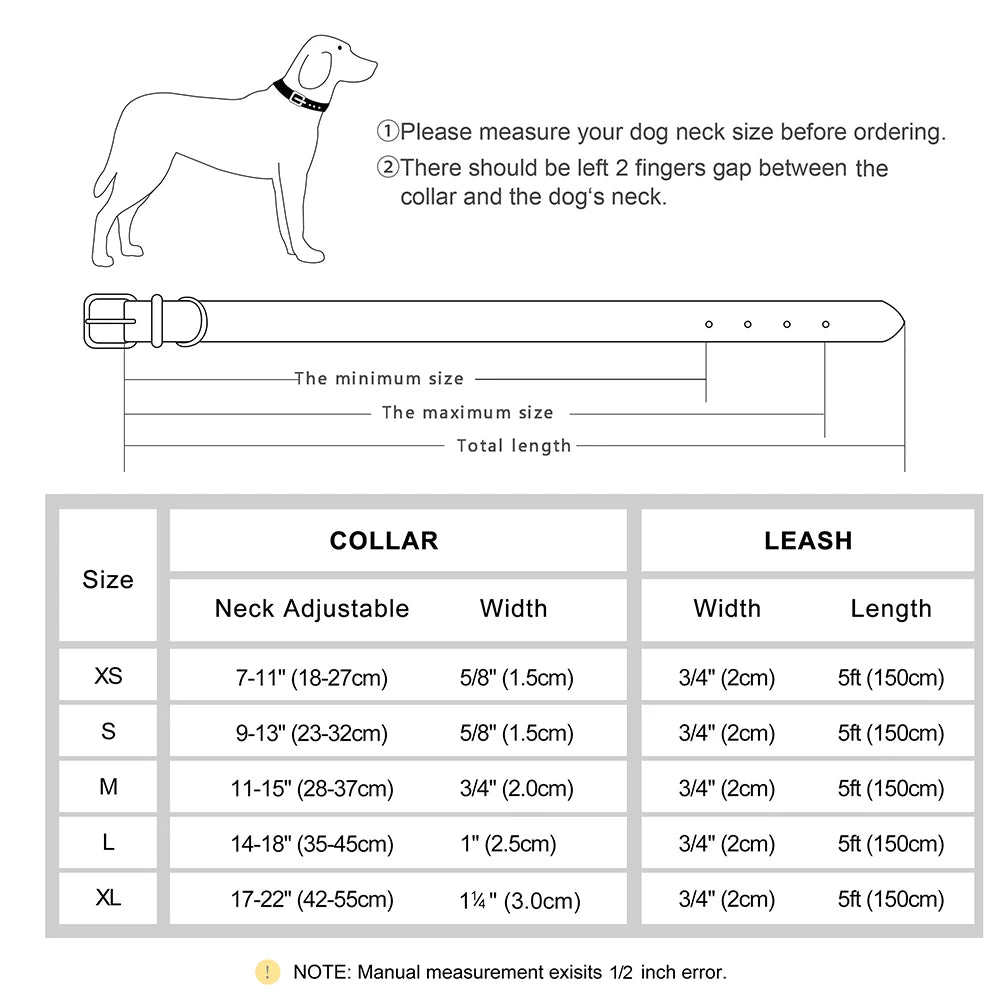 Custom Leather Dog Collar Set
