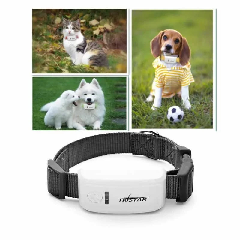 Mini GPS Pet Tracker with Collar – Real-Time GSM/GPRS Positioning for Dogs & Cats (iOS/Android Compatible)