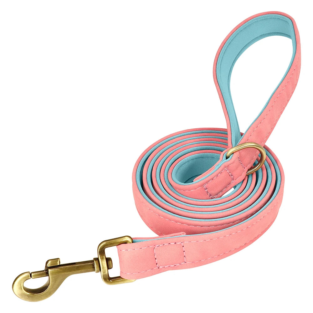 Custom Leather Dog Collar Set