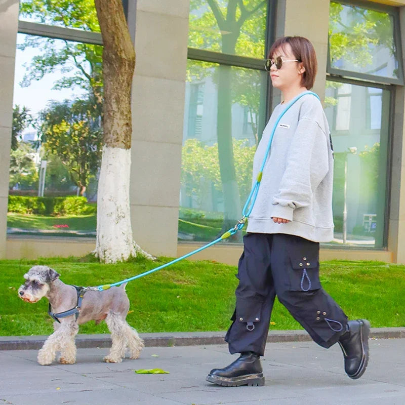Hands-Free Dog Leash