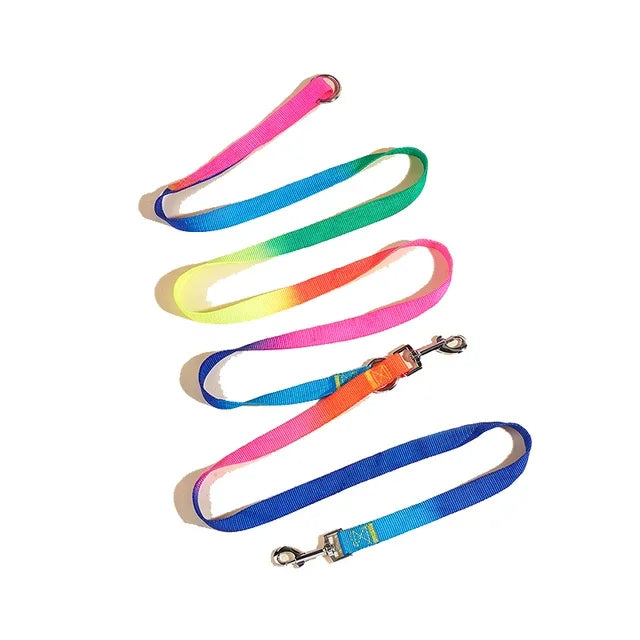 Hands-Free Dog Leash