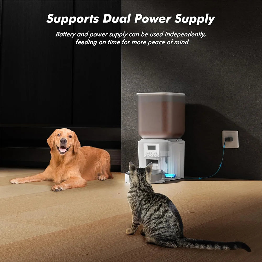 Automatic Pet Feeder – 8L Smart Food Dispenser with Key Control, SUS+ABS Build for Cats & Dogs