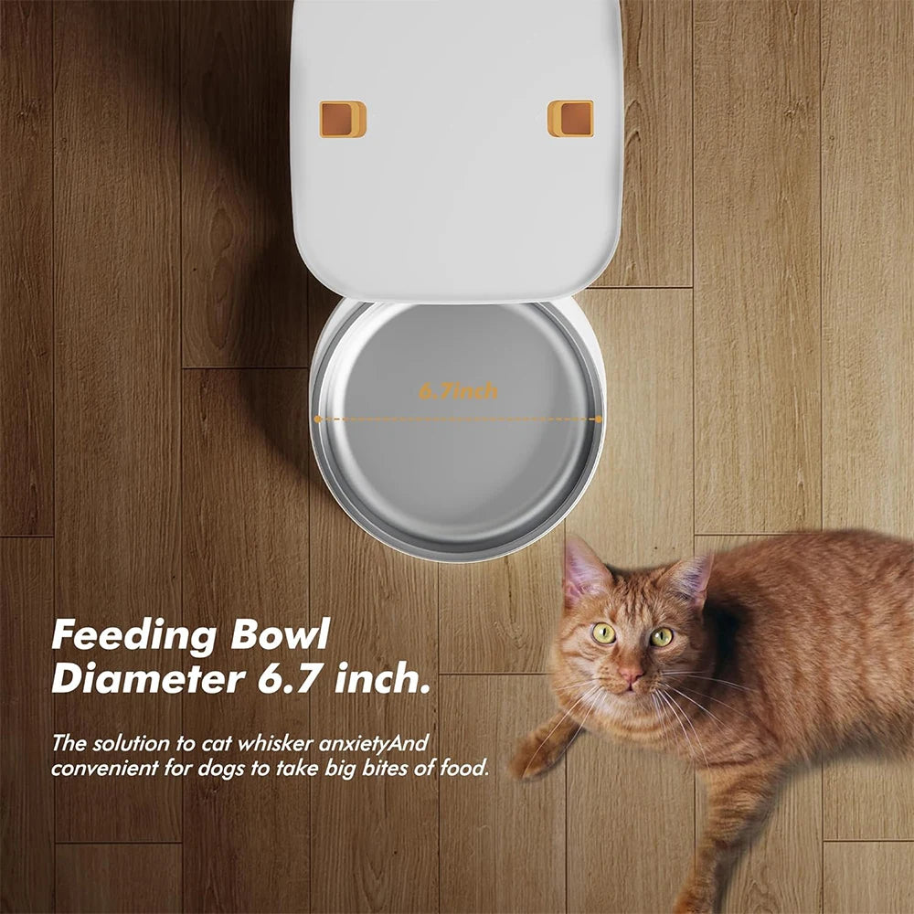 Automatic Pet Feeder – 8L Smart Food Dispenser with Key Control, SUS+ABS Build for Cats & Dogs