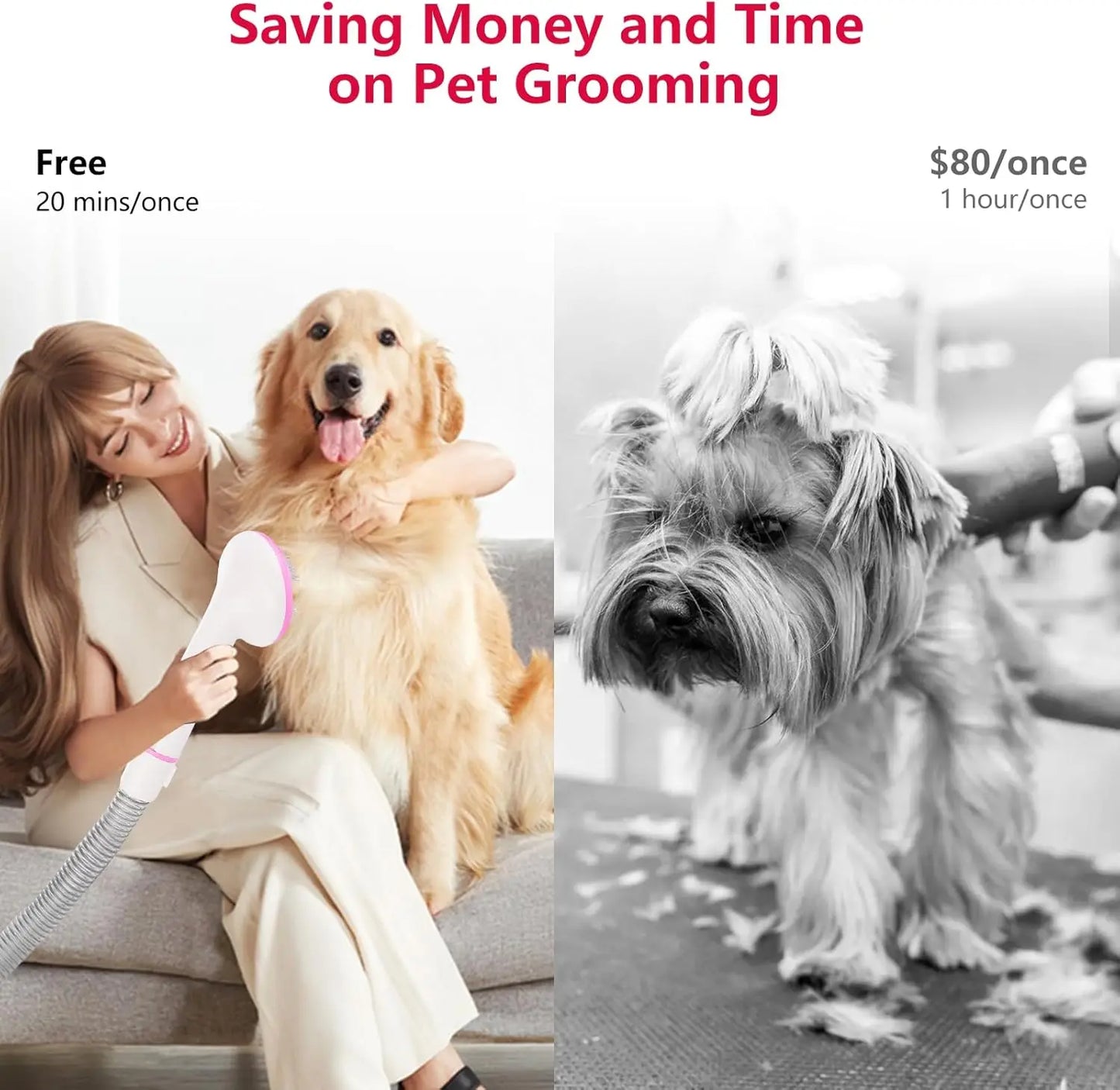 Pet Grooming Vacuum Kit