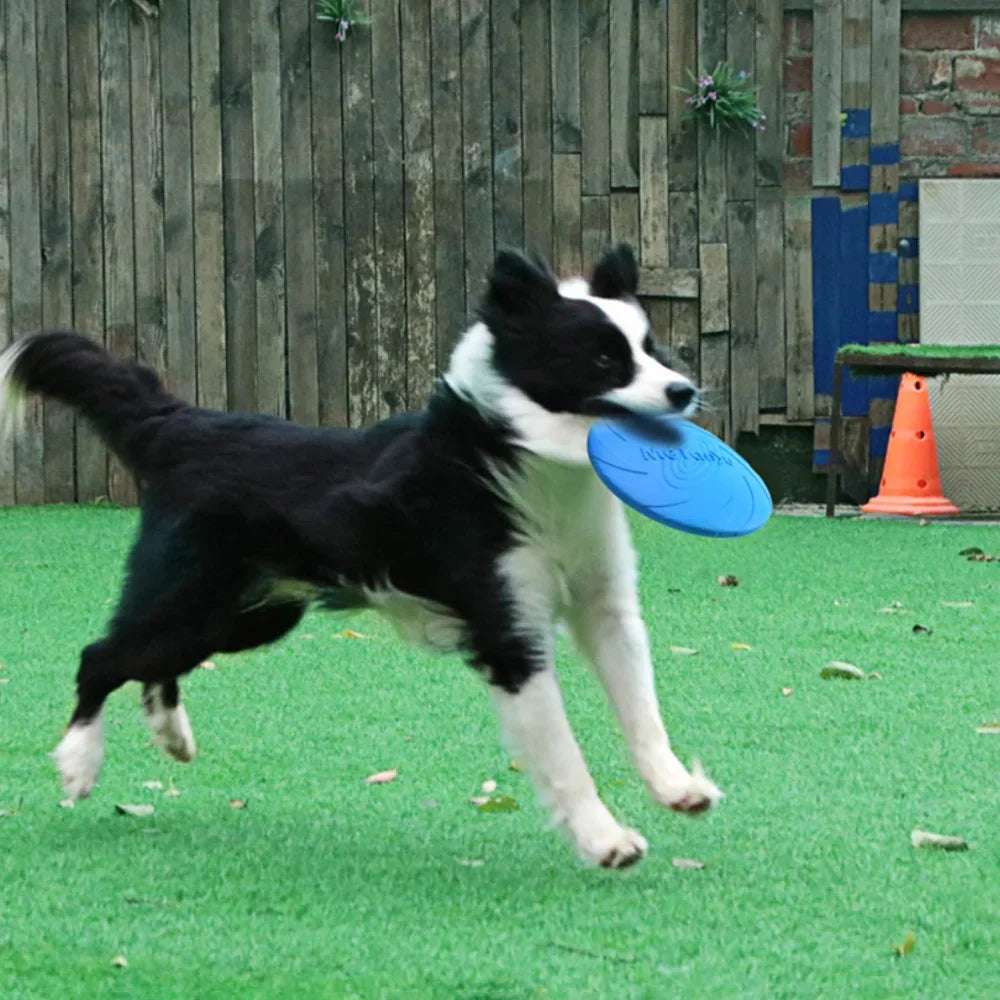 Dog Flying Disc Toy