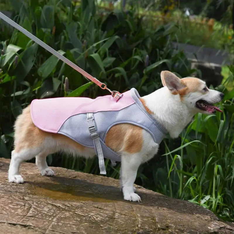 Dog Cooling Summer Vest
