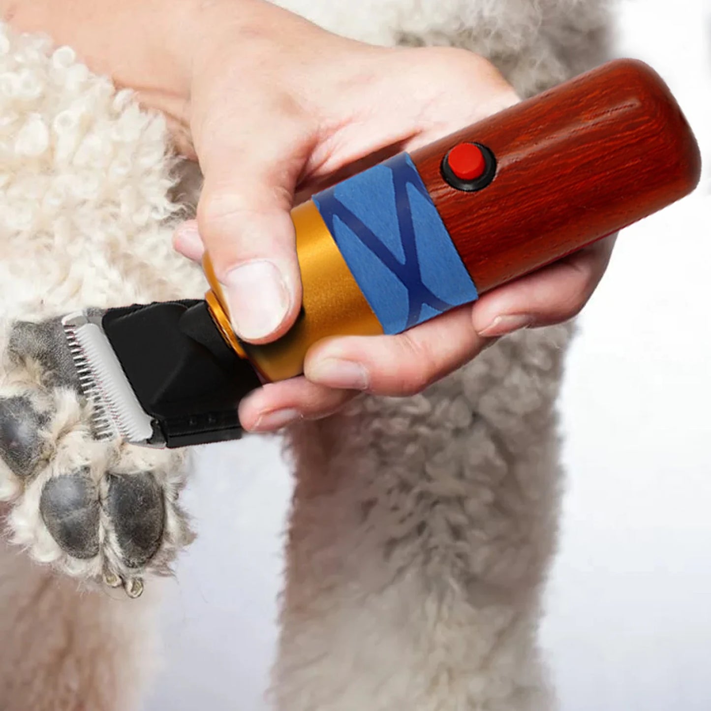 36W Electric Shearing Clipper