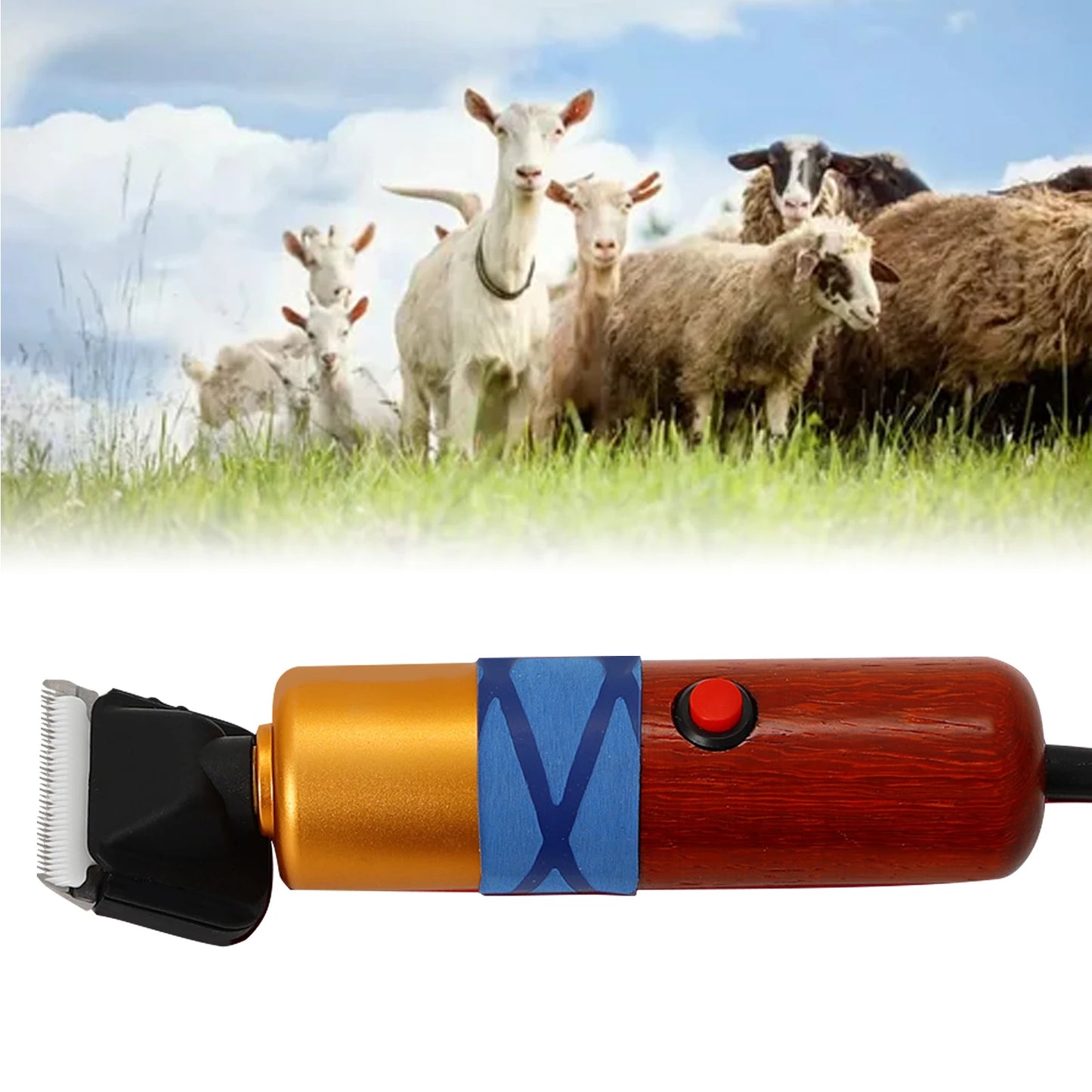 36W Electric Shearing Clipper