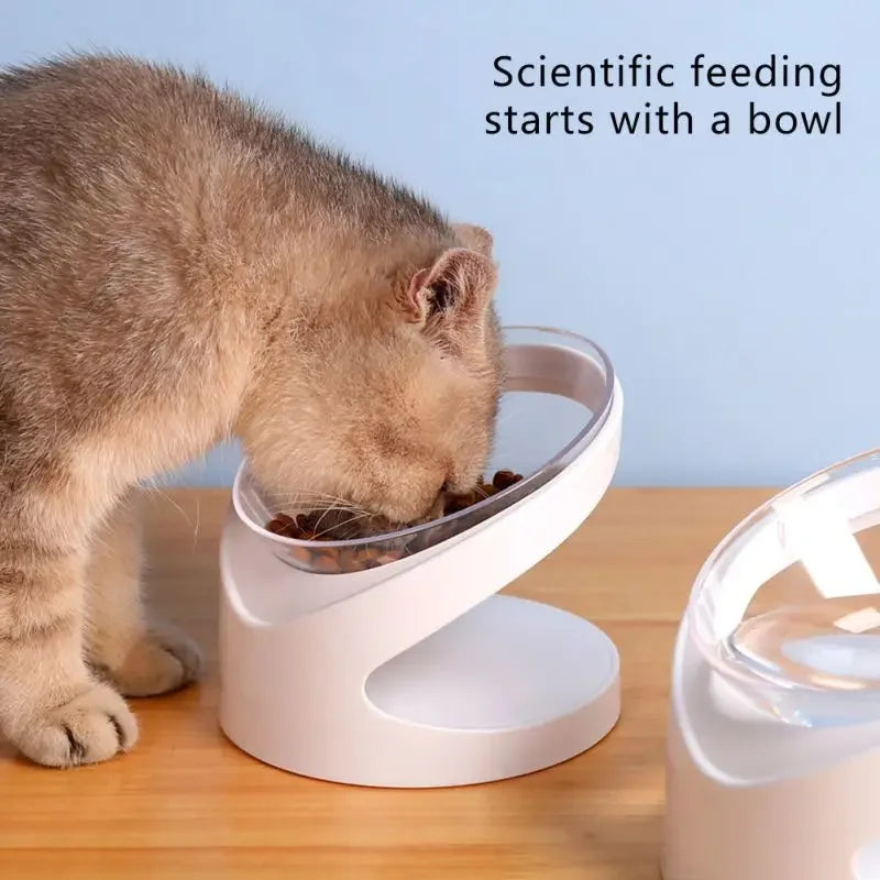 Raised Pet Feeding Bowl