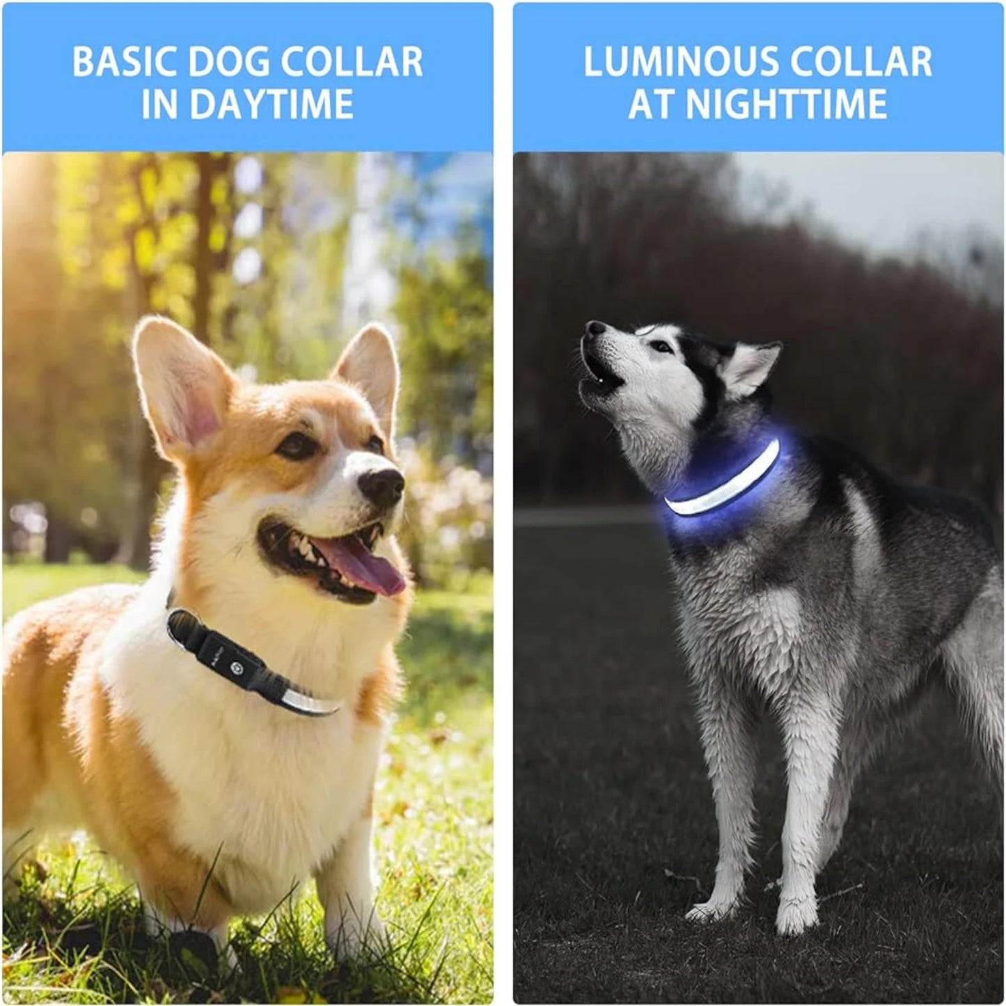 LED Dog Collar Light