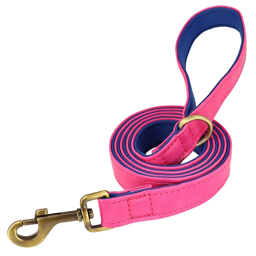 Custom Leather Dog Collar Set