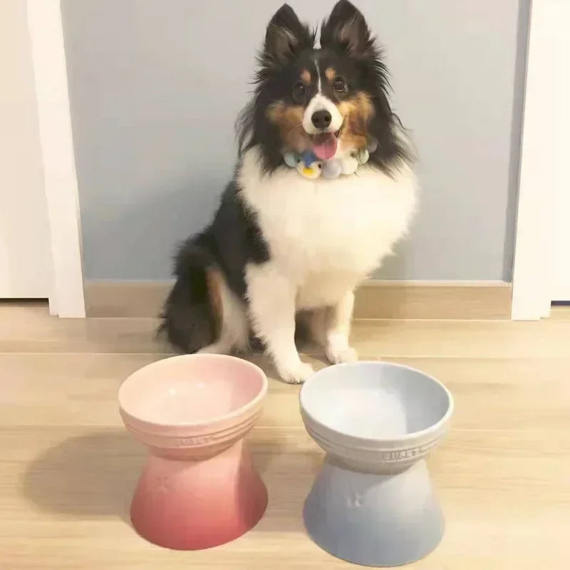 Elevated Ceramic Cat Bowl