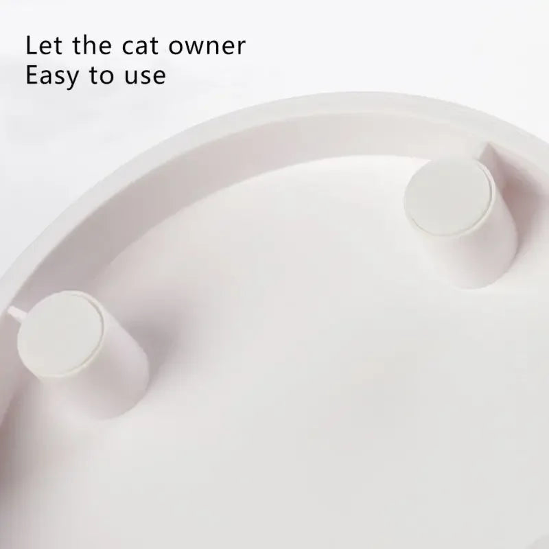 Raised Pet Feeding Bowl