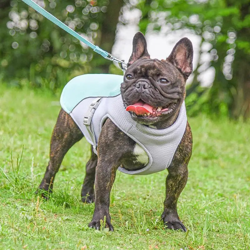 Dog Cooling Summer Vest