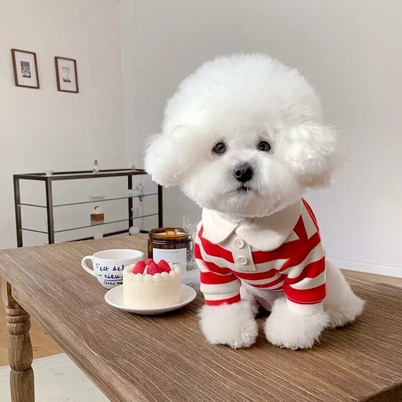 Striped Dog Polo Shirt