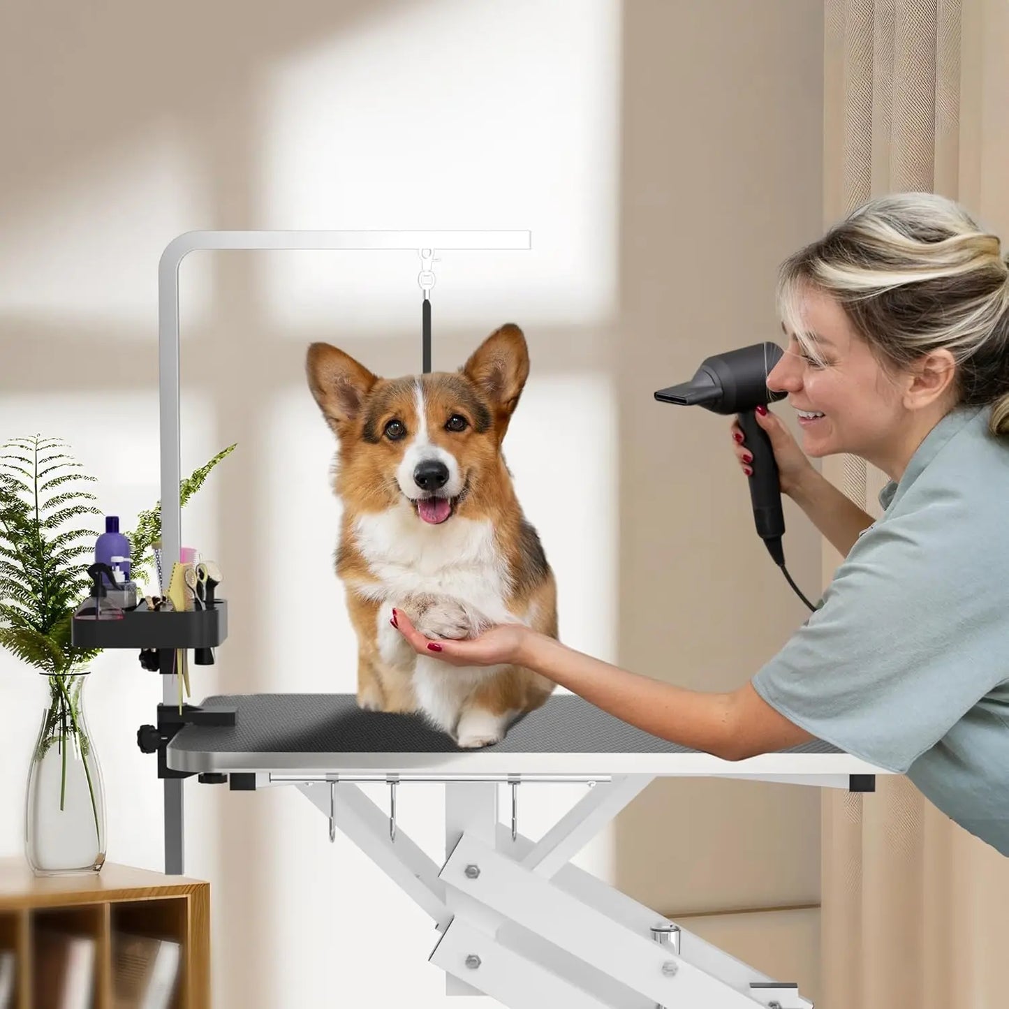 Hydraulic Dog Grooming Table