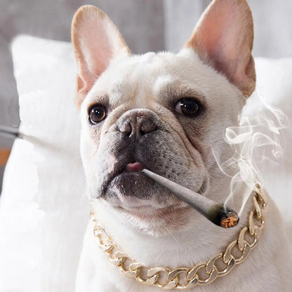 Gold Metal Dog Chain