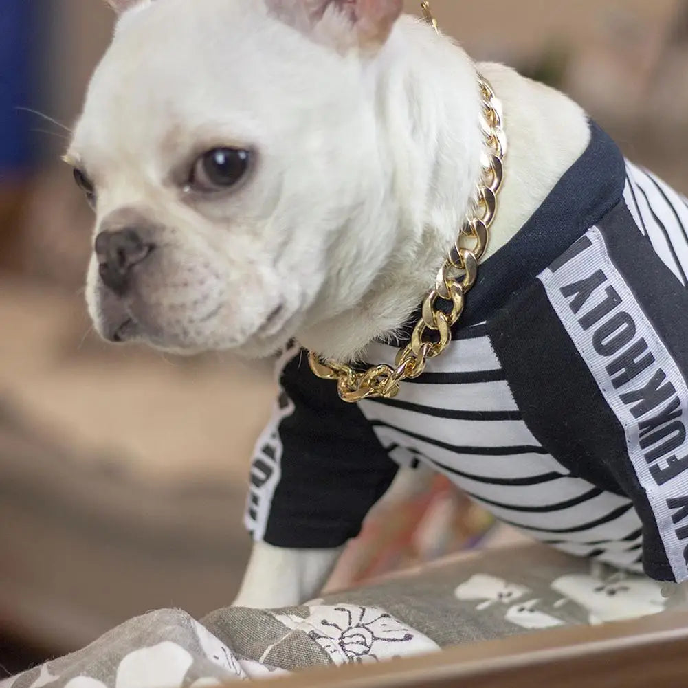 Gold Metal Dog Chain