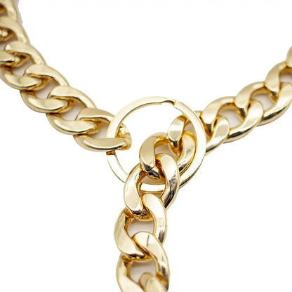 Gold Metal Dog Chain