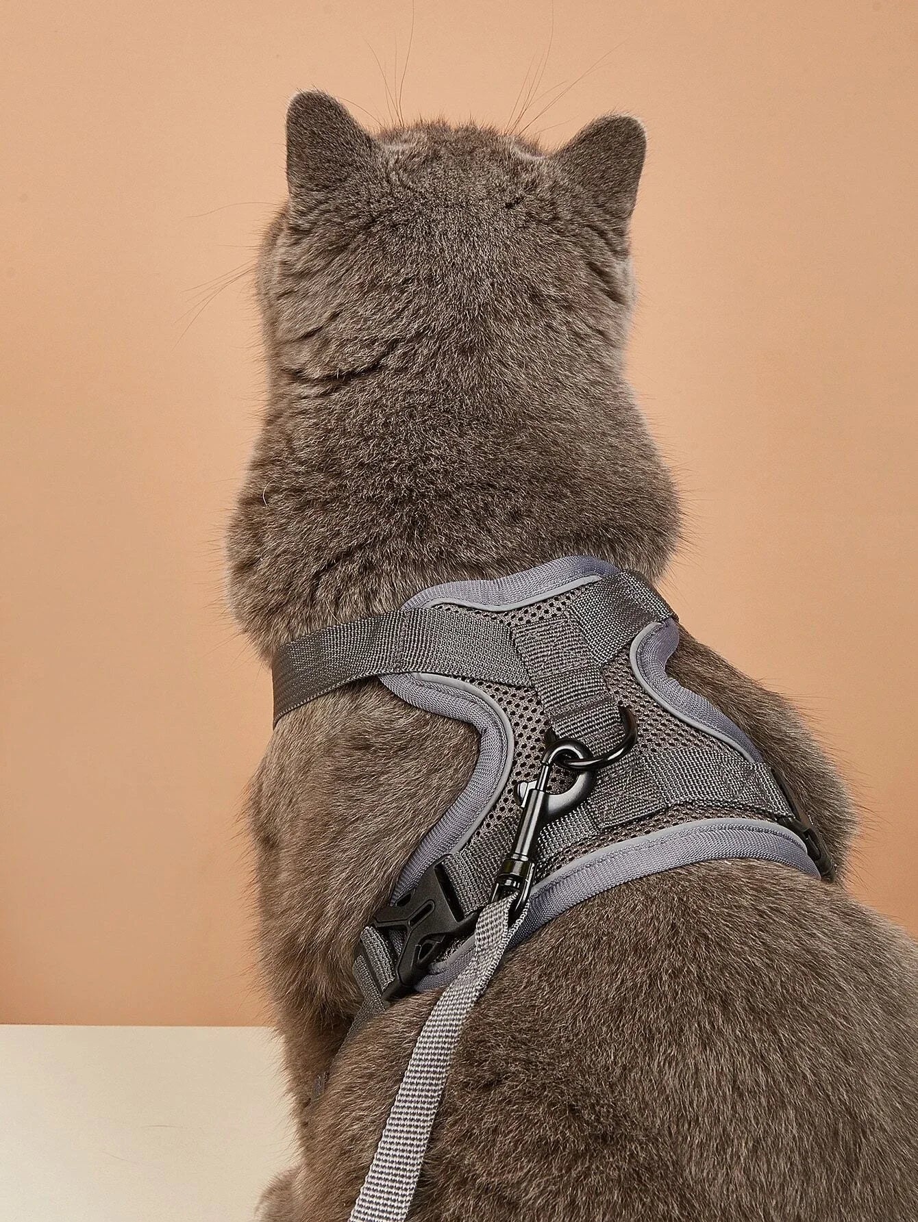 Pet Harness Leash Set
