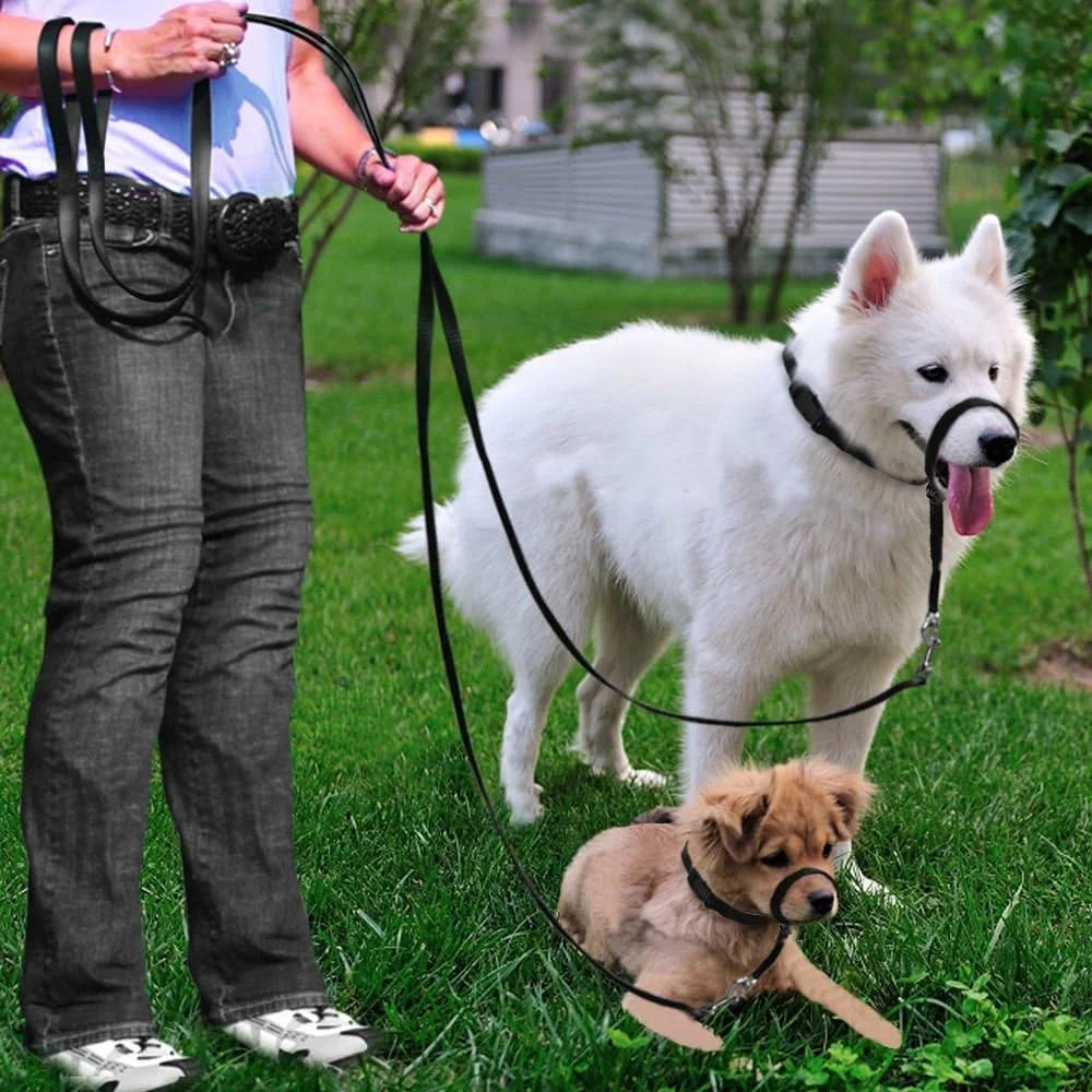Adjustable Dog Head Halter