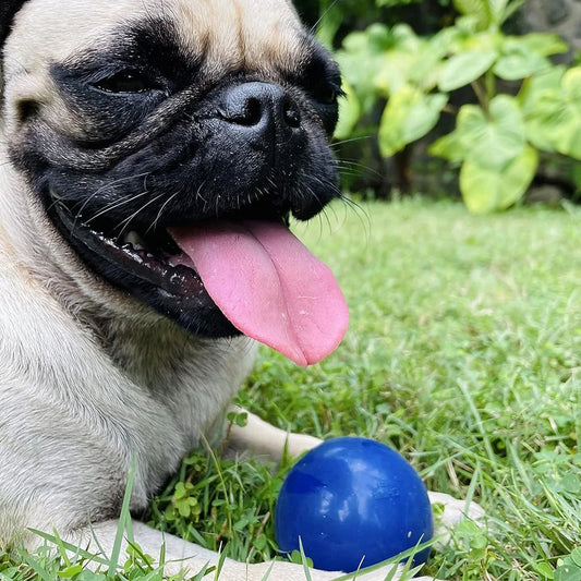 SuperChewy Dog Ball Toy