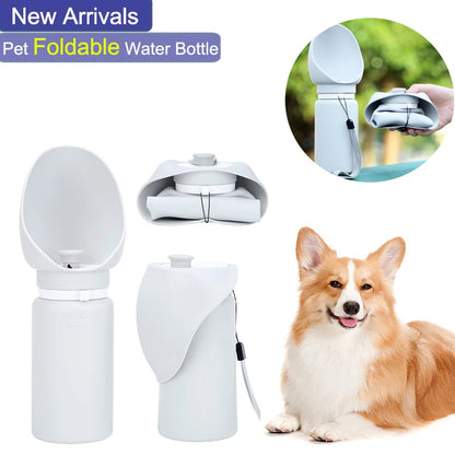 Folding Pet Water Bottle
