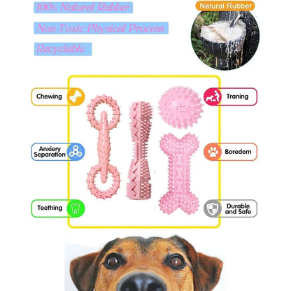 Teething Puppy Chew Toy
