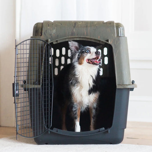 Large Plastic Dog Kennel