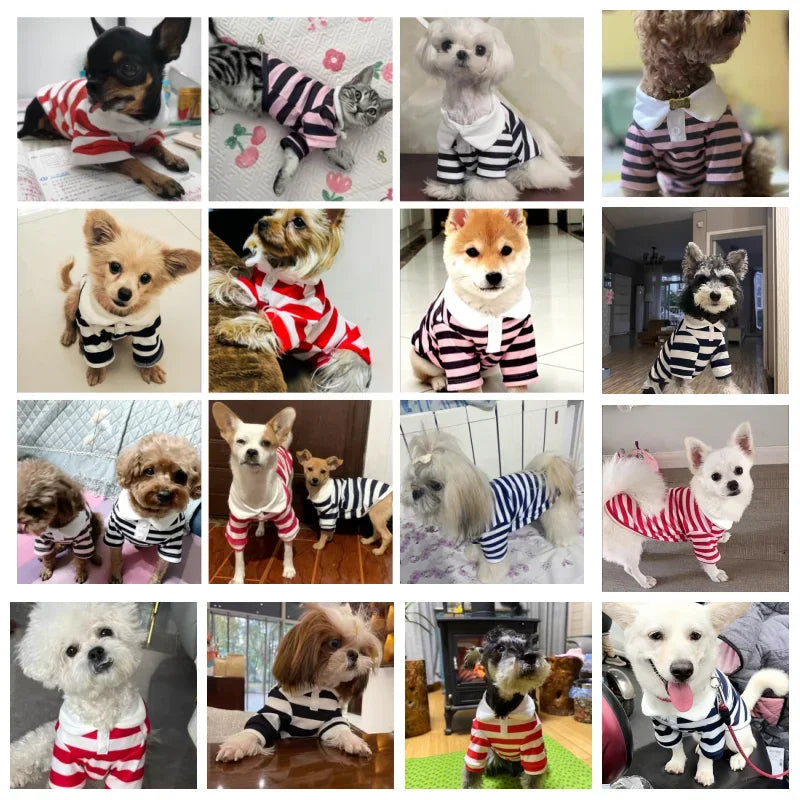 Striped Dog Polo Shirt