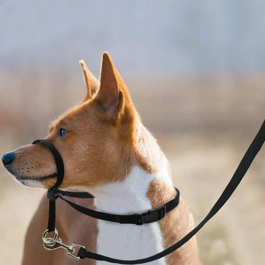 Adjustable Dog Head Halter