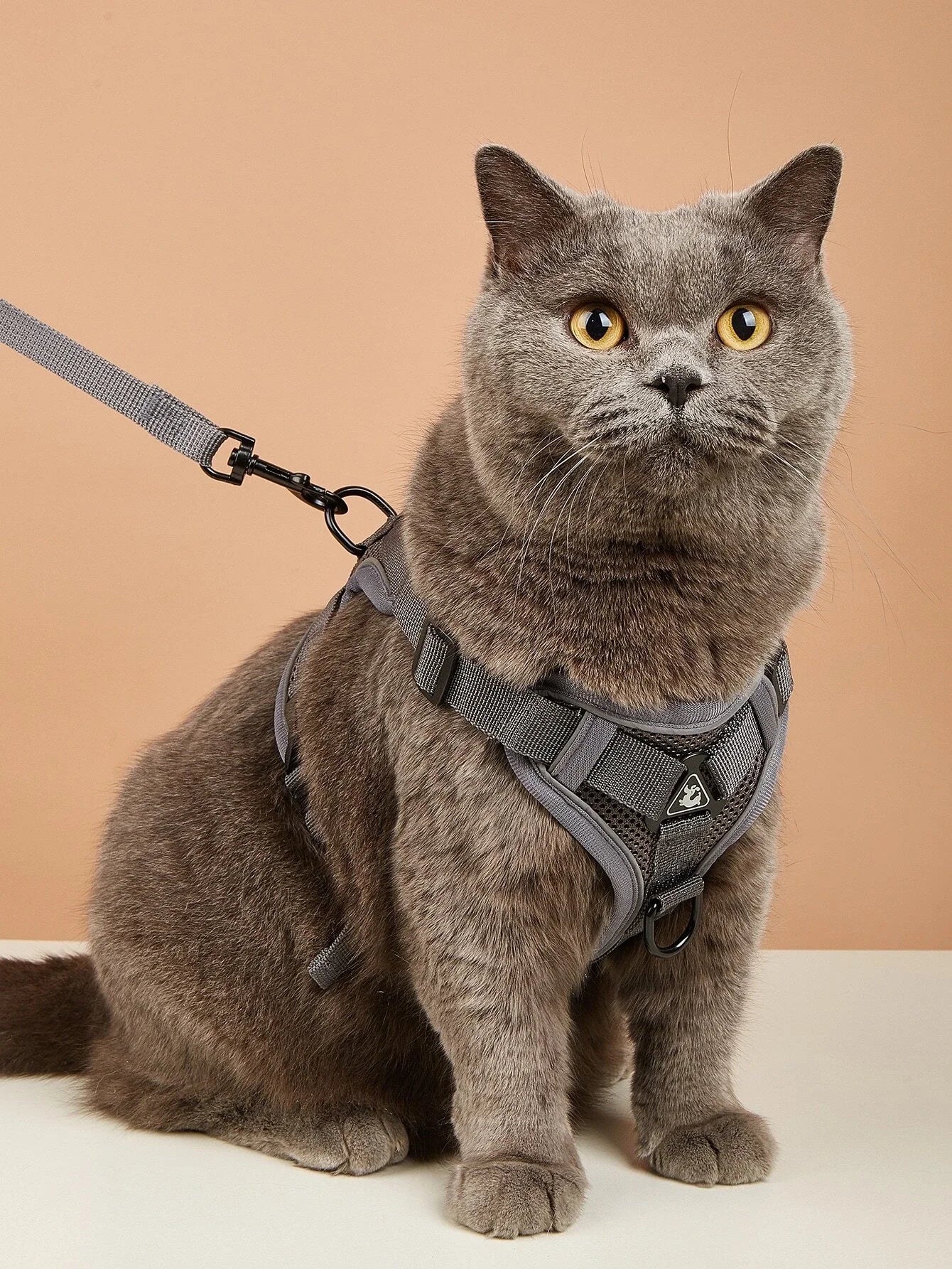 Pet Harness Leash Set