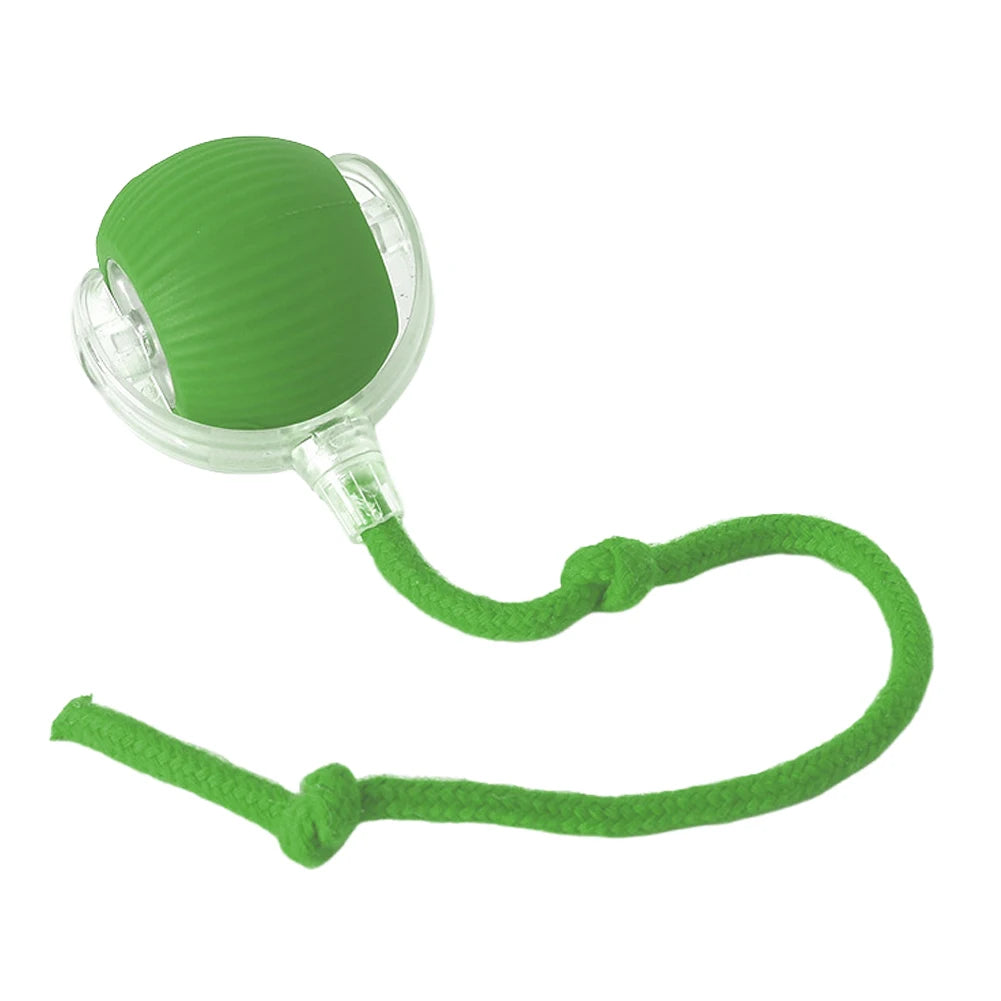 Automatic Cat Ball Toy