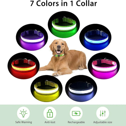 LED Dog Collar Light