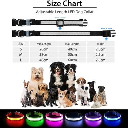 LED Dog Collar Light
