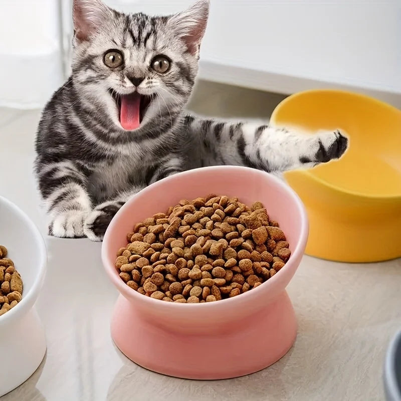 Ceramic Raised Cat Bowl