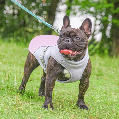 Dog Cooling Summer Vest
