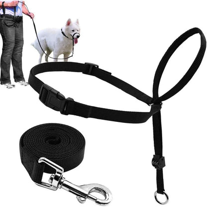 Adjustable Dog Head Halter