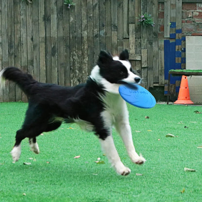 Dog Flying Disc Toy