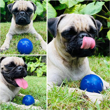 SuperChewy Dog Ball Toy