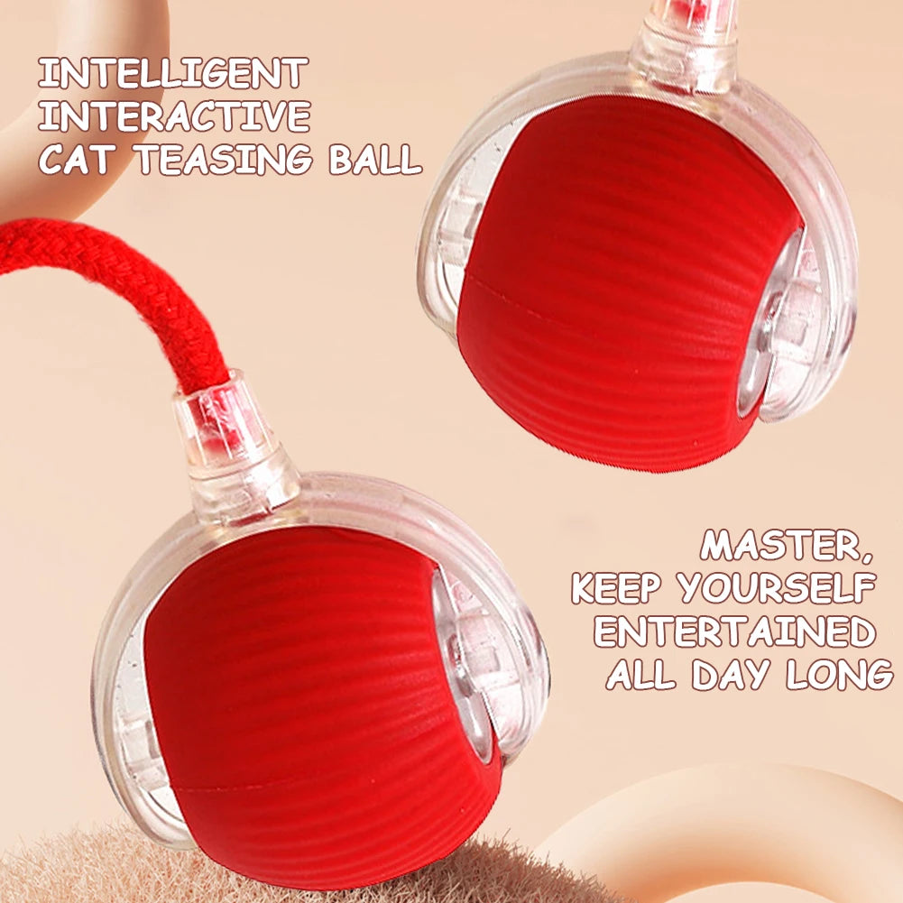 Automatic Cat Ball Toy