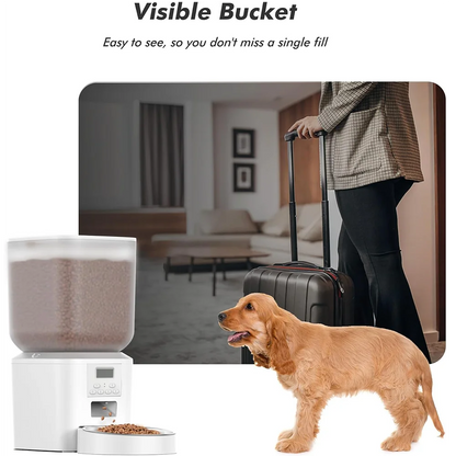 Automatic Pet Feeder – 8L Smart Food Dispenser with Key Control, SUS+ABS Build for Cats & Dogs