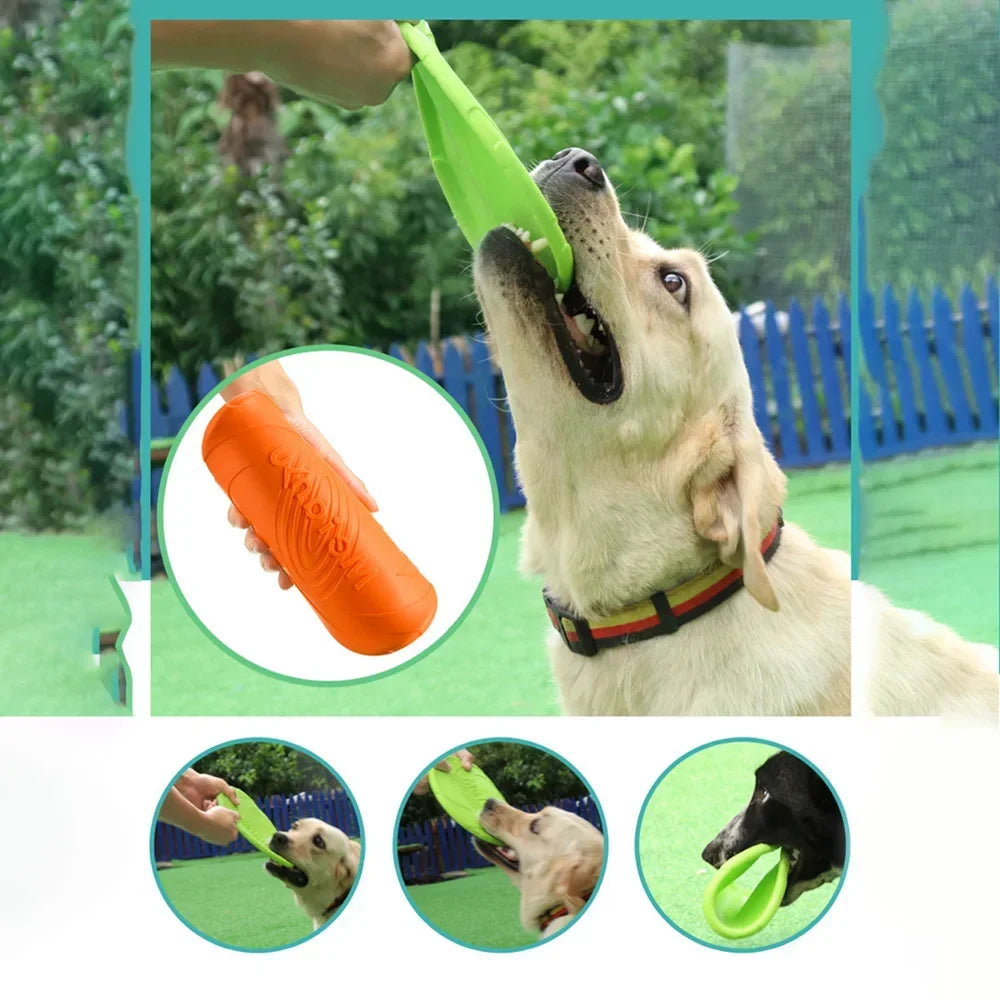 Dog Flying Disc Toy