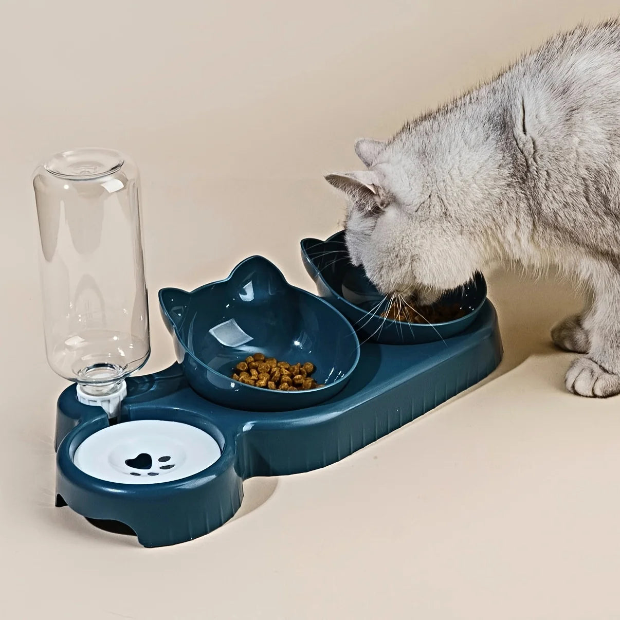 Tilted Cat Feeder Set