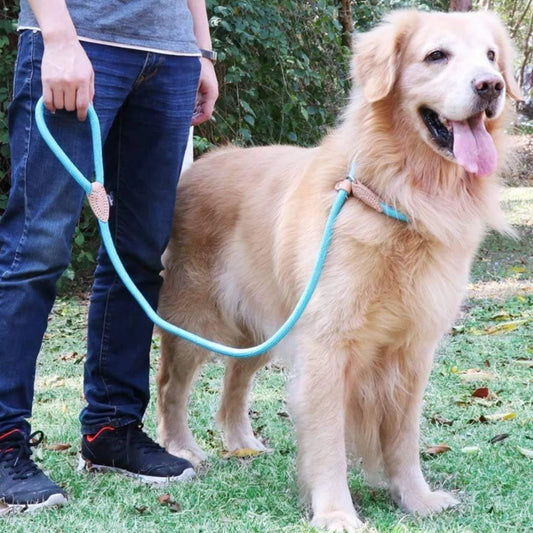 Reflective Retractable Pet Leash