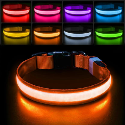 LED Dog Collar Light