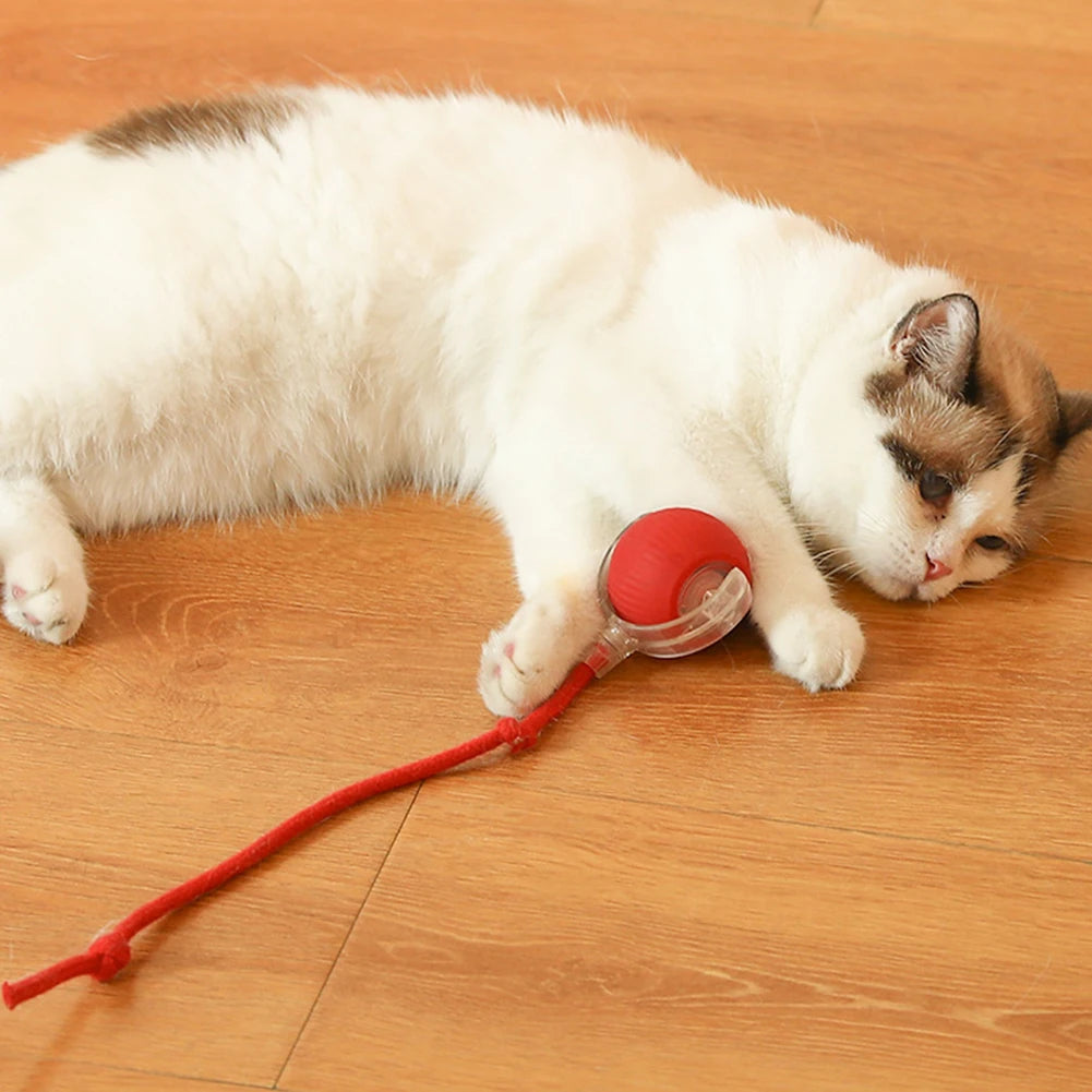 Automatic Cat Ball Toy