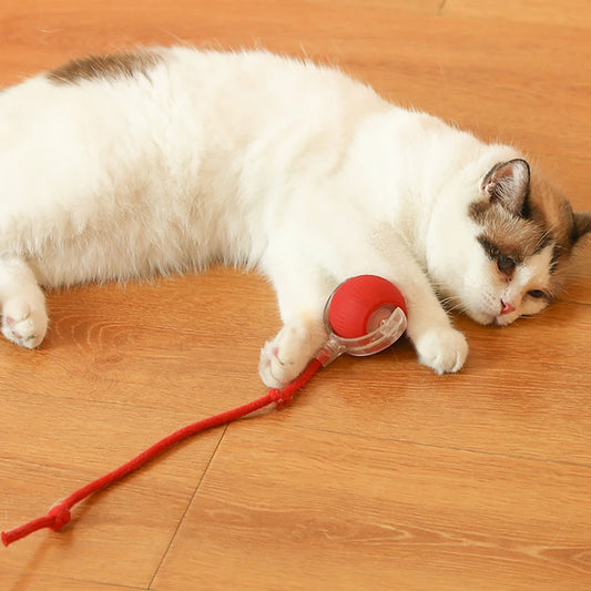 Automatic Cat Ball Toy