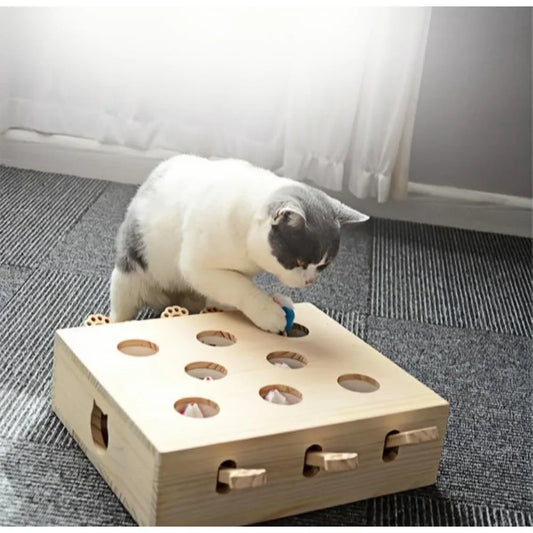 Whack-a-Mole Cat Toy